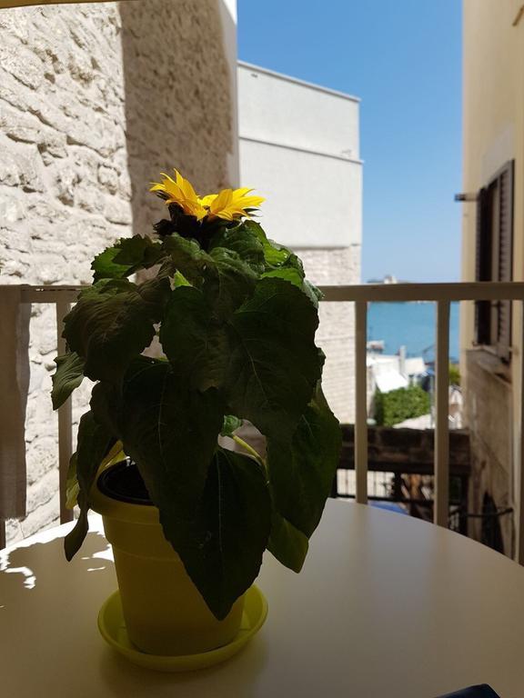 La Banchina Holiday Rooms Трани Екстериор снимка